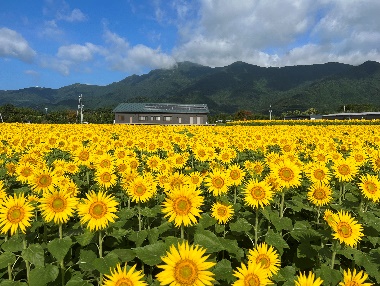 株式会社ワークデザインラボおおすみ